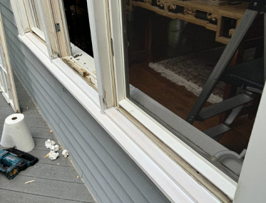 blog Energy Efficiency: How Proper Window Maintenance Saves You Money