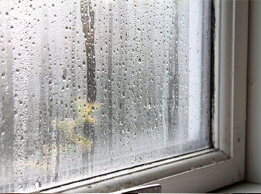 blog Foggy Glass Replacement vs. Full Window Replacement: Which Option Saves You More Money?