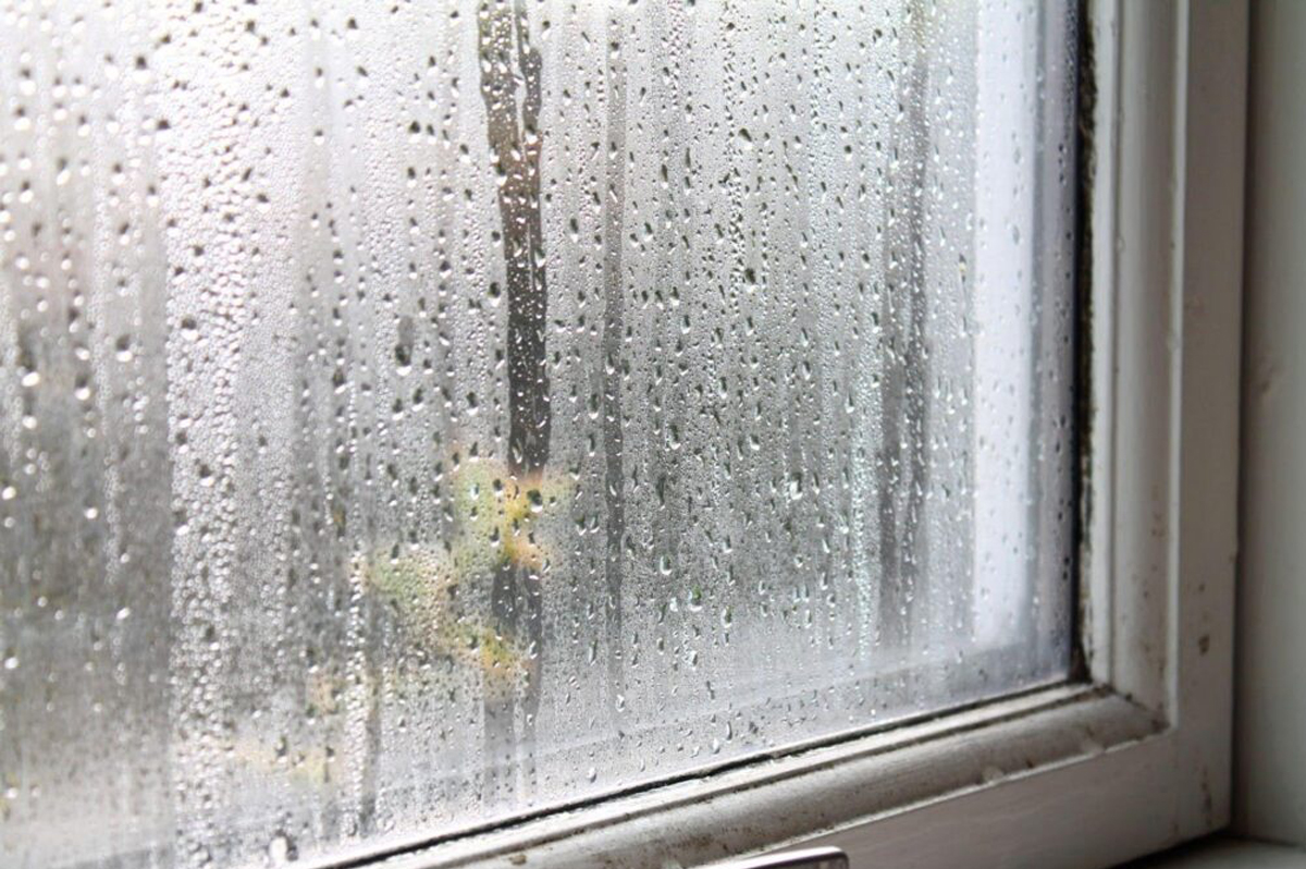 Foggy Glass Replacement vs. Full Window Replacement: Which Option Saves You More Money?