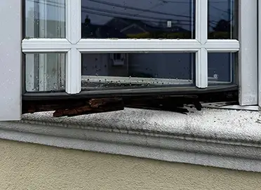 blog How to Prevent Wood Rot and Moisture Damage in Windows