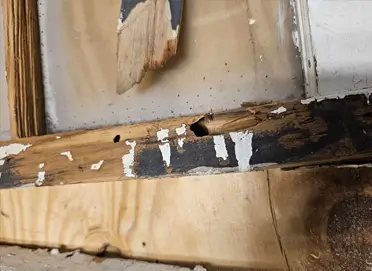 blog How to Repair Rotten Wooden Window Frames: A Step-by-Step Guide