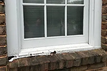 Wood Window Repair Services