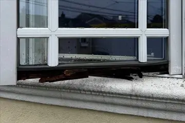Wood Rot Repair Services