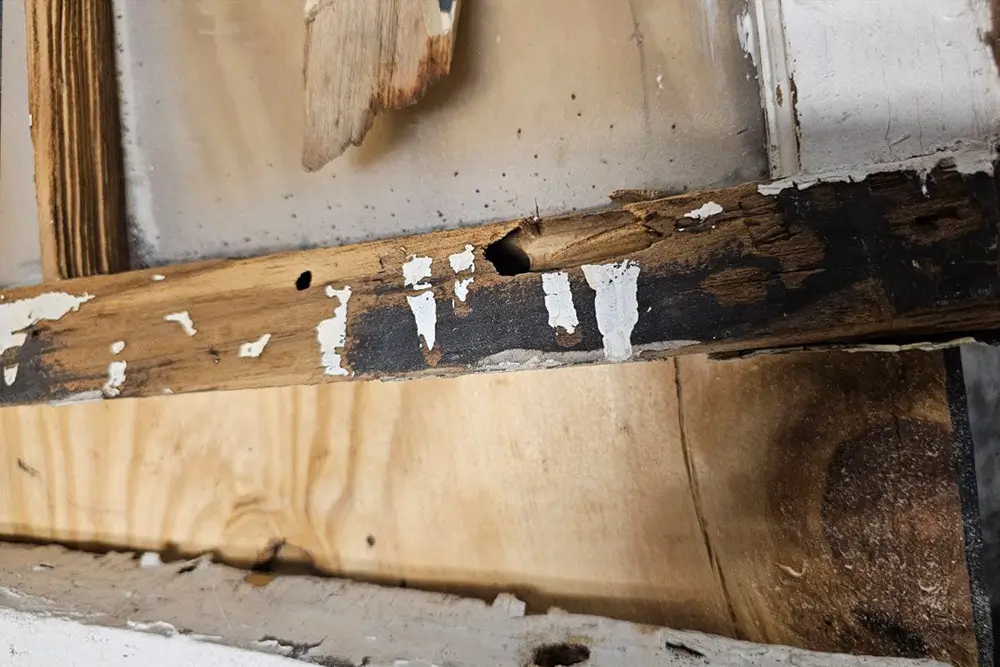 How to Repair Rotten Wooden Window Frames: A Step-by-Step Guide
