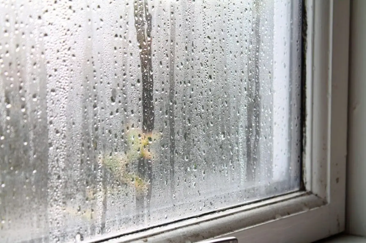 Foggy Glass Replacement vs. Full Window Replacement: Which Option Saves You More Money?